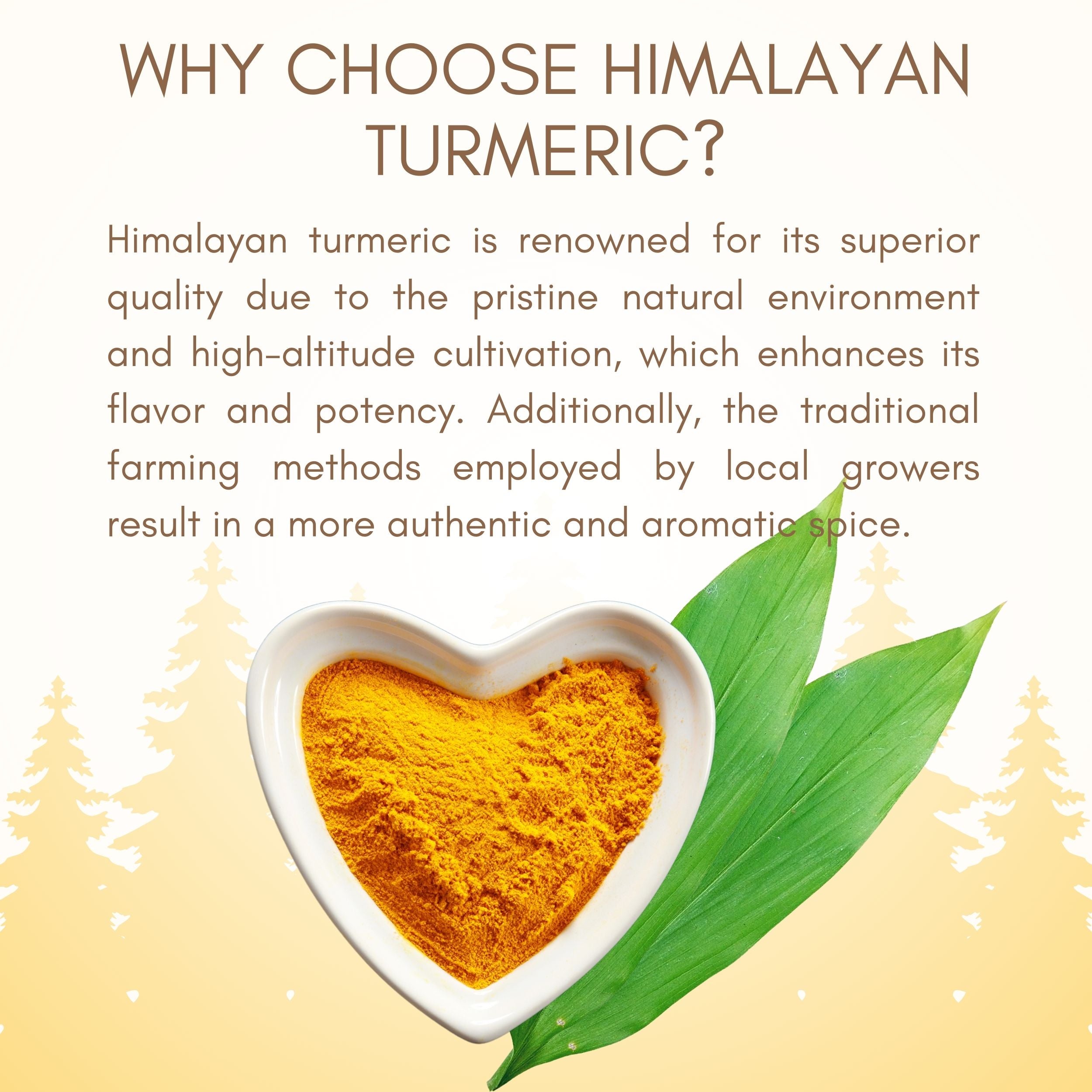 Himalayan Turmeric Powder | 150g