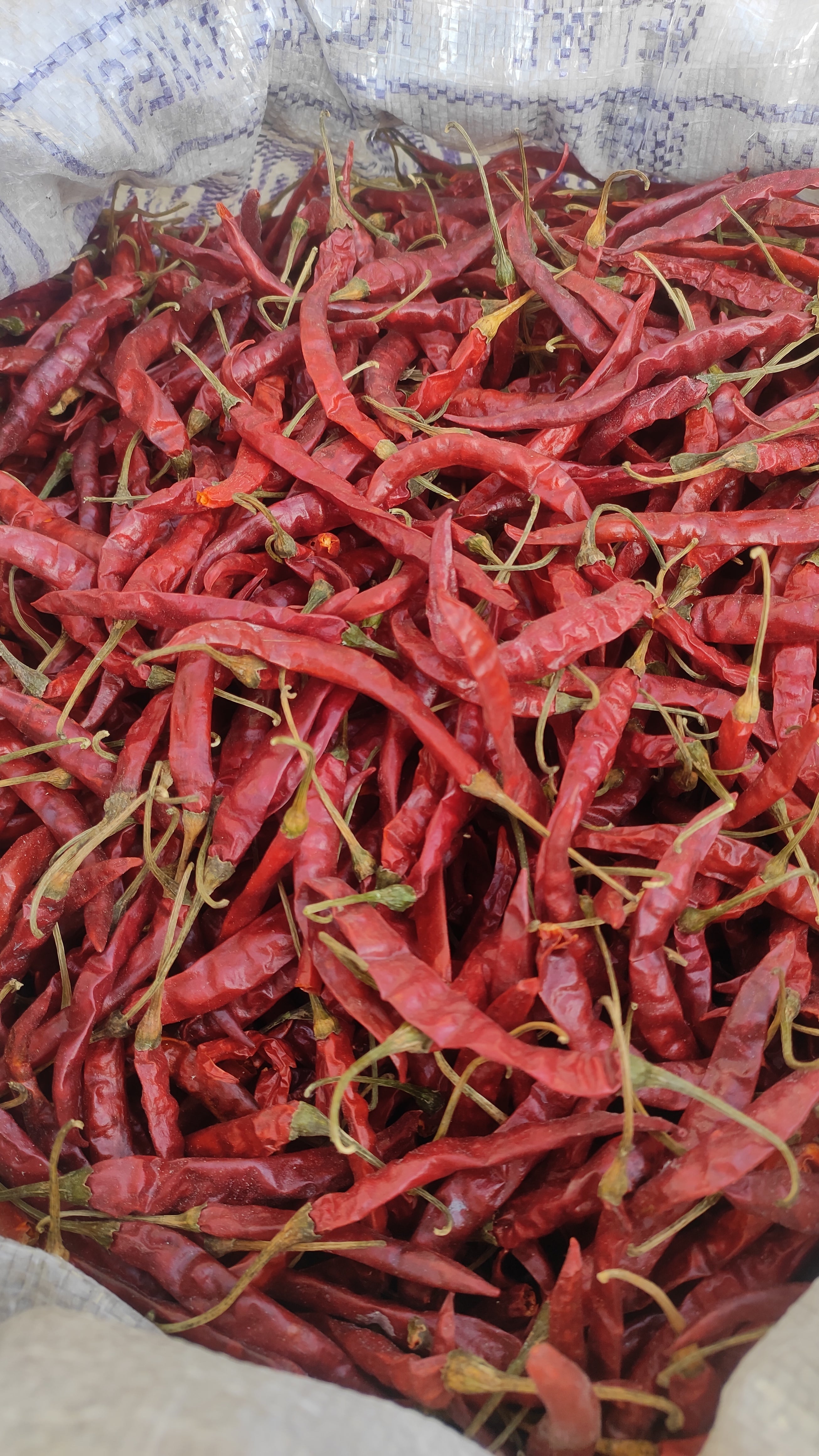 A bag of dry red Himalayan Chilly